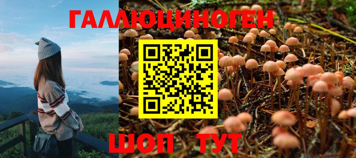 Псилоцибиновые грибы мухоморы Энгельс