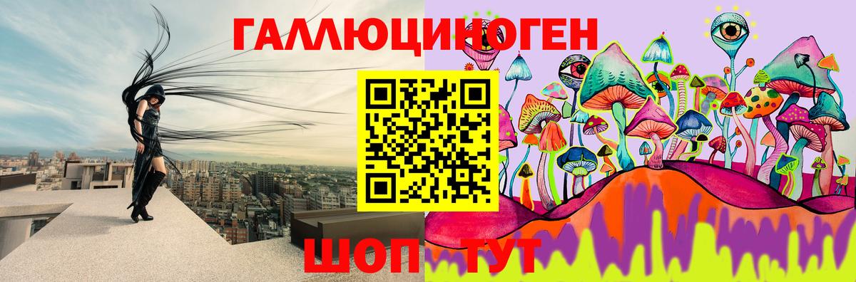 Энгельс  Псилоцибиновые грибы GOLDEN TEACHER  даркнет сайт  Галлюциногенные грибы GOLDEN TEACHER  Вход с VPN 